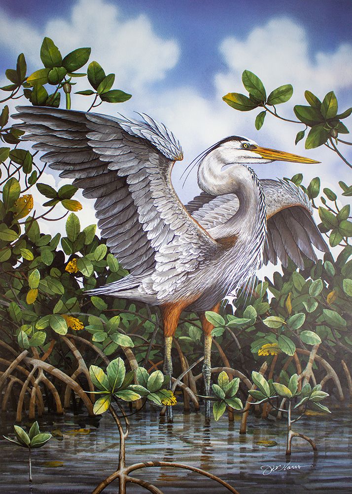 Great Blue Heron art print by James Harris for $57.95 CAD