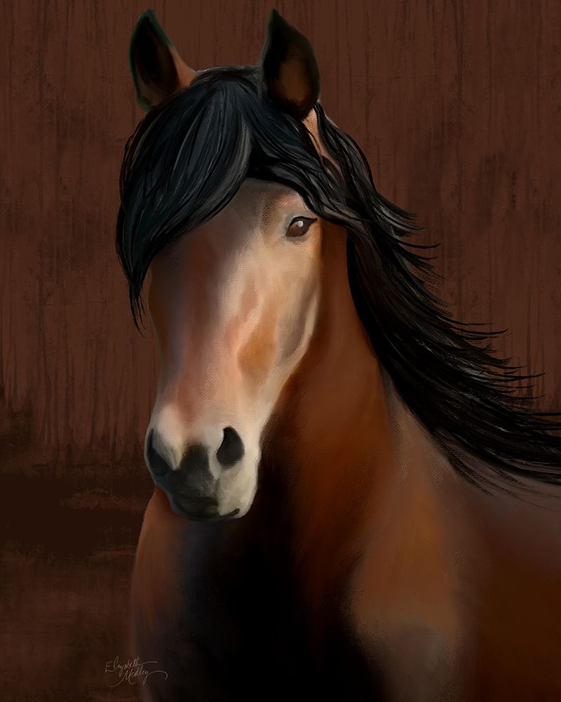 The Horse With the Soulful Eyes art print by Elizabeth Medley for $57.95 CAD