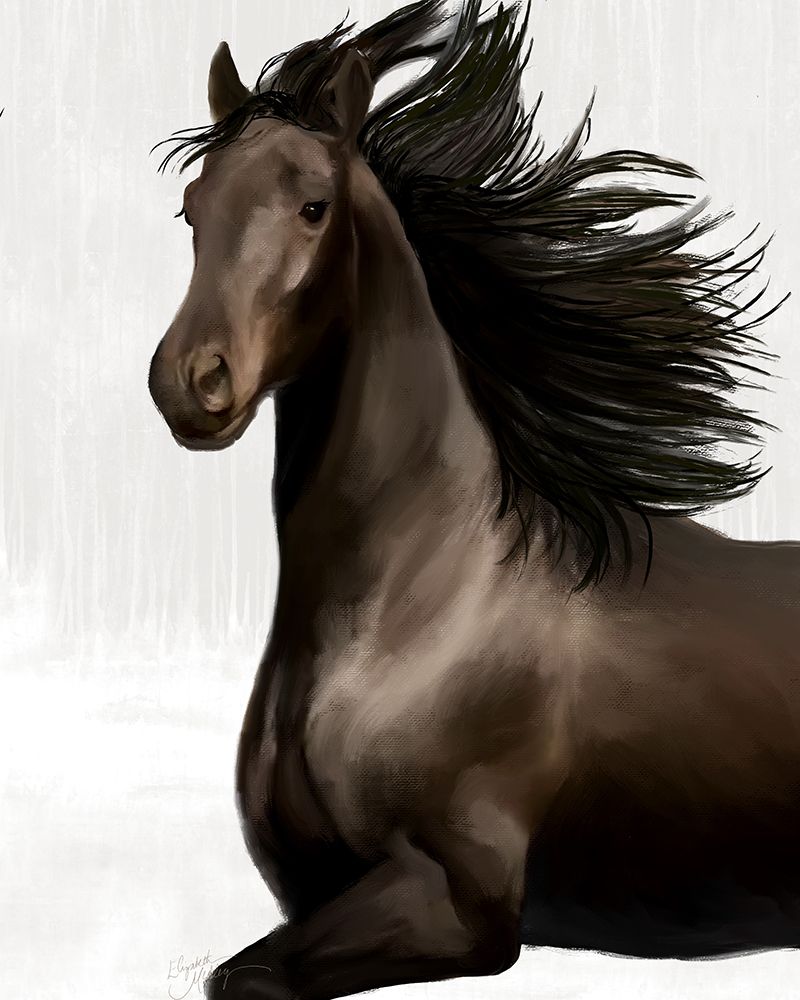Arabian Horse art print by Elizabeth Medley for $57.95 CAD
