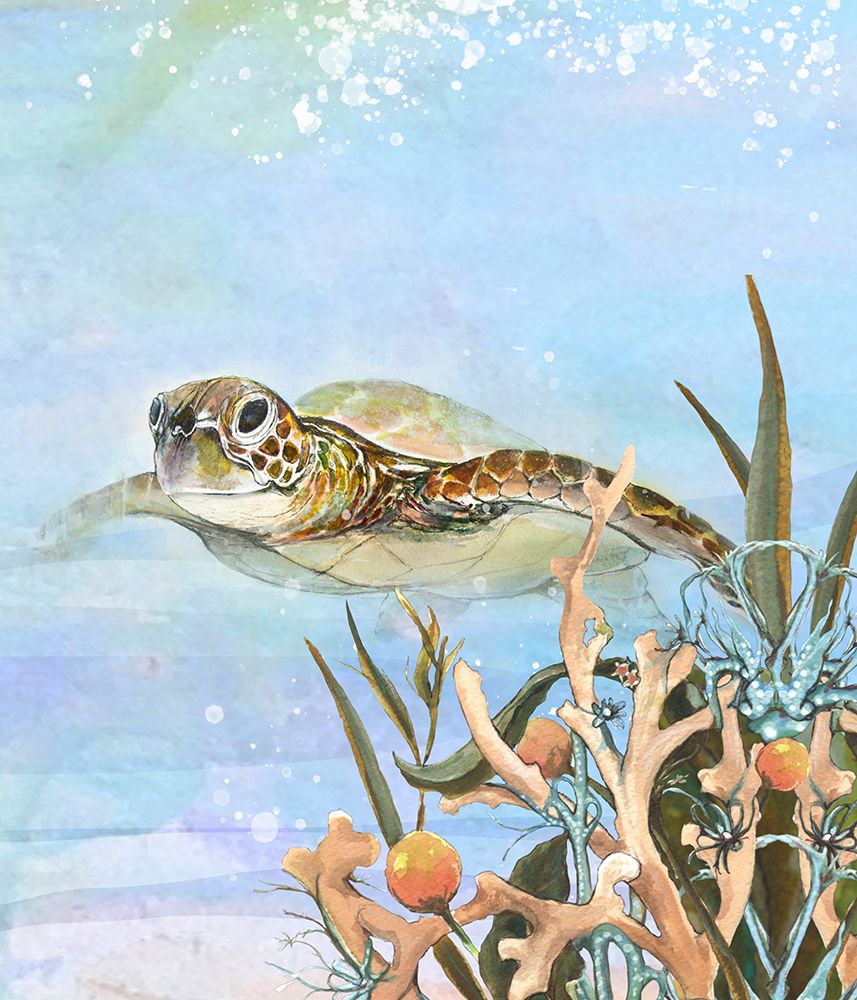 Turtle By The Reef II art print by Diannart for $57.95 CAD