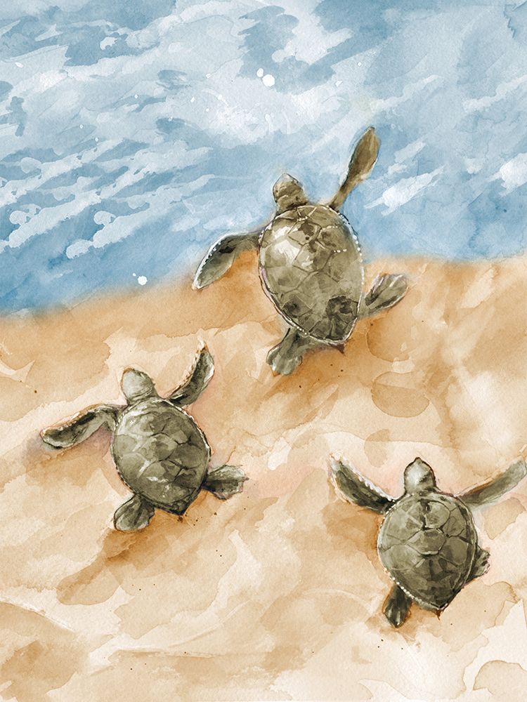 Turtles Heading Out To Sea art print by Diannart for $57.95 CAD