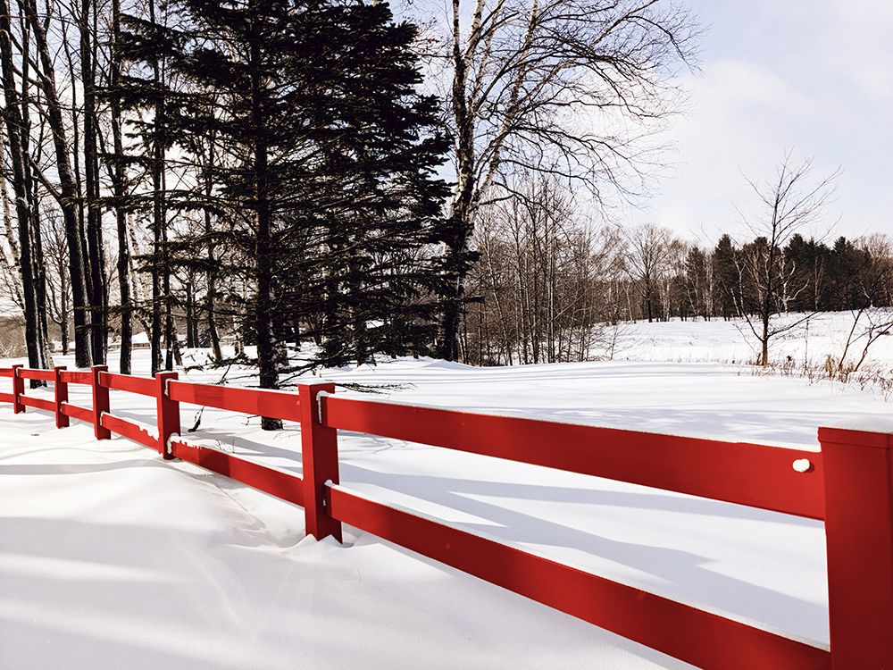 Winter Fence art print by Kali Wilson for $57.95 CAD