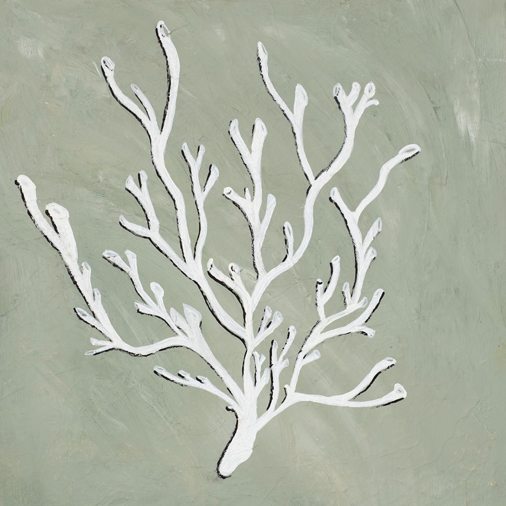 White Coral I art print by Nola James for $57.95 CAD