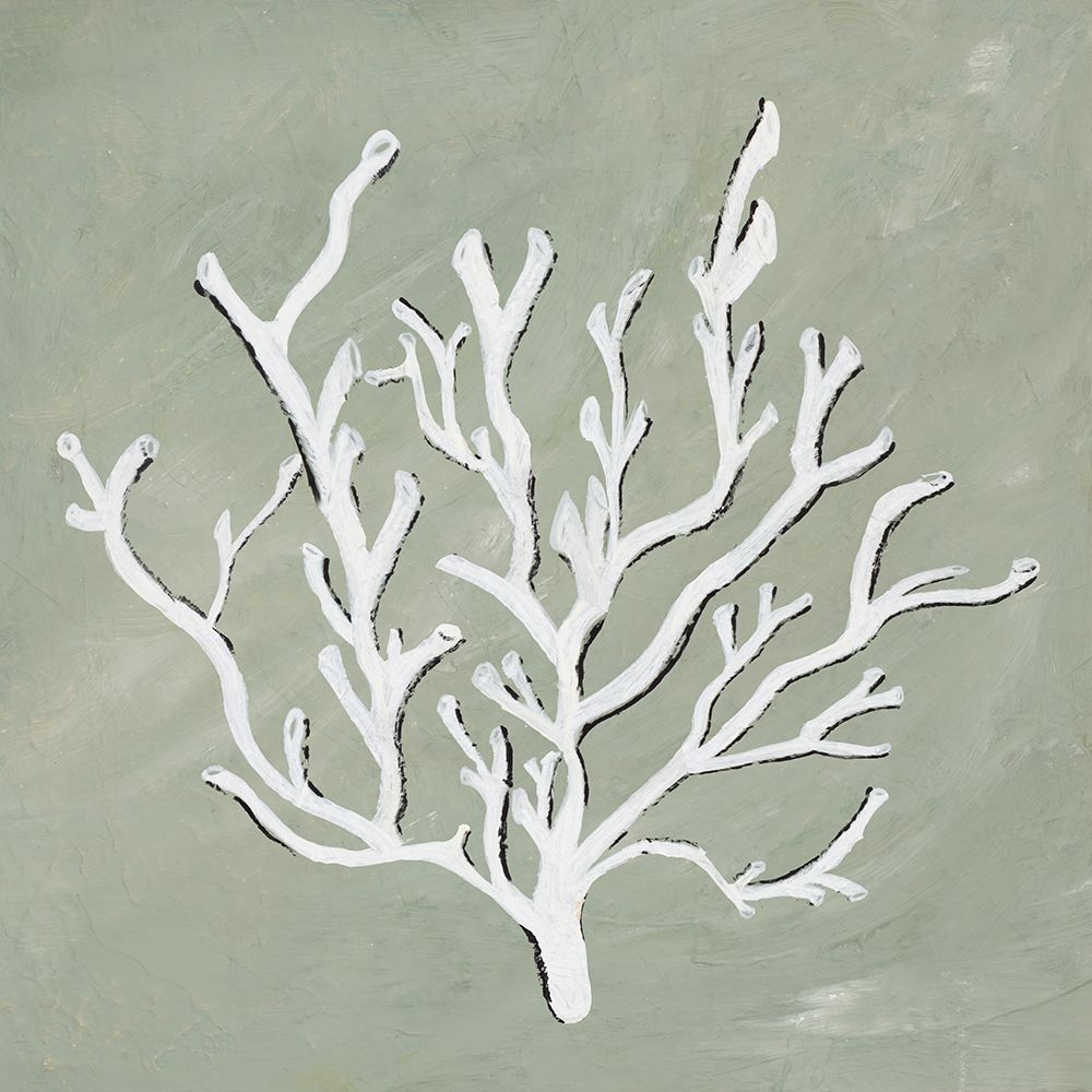 White Coral II art print by Nola James for $57.95 CAD