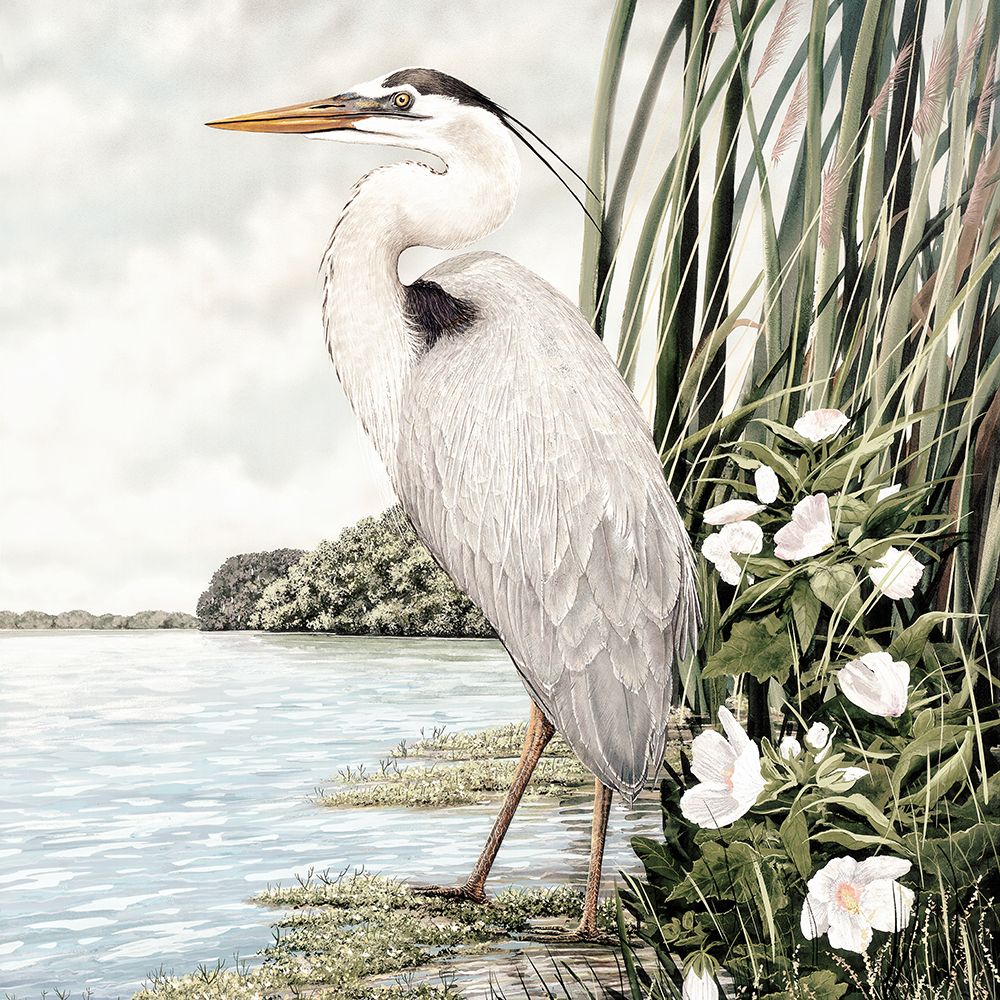 Magestic Great Blue Heron art print by James Harris for $57.95 CAD