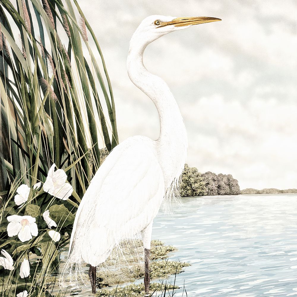 Majestic Great White Egret art print by James Harris for $57.95 CAD
