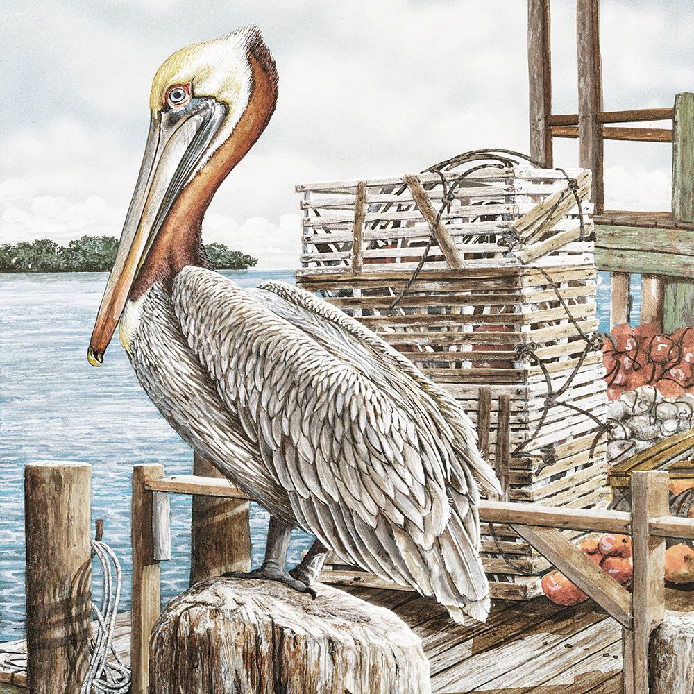 Majestic Pelican art print by James Harris for $57.95 CAD