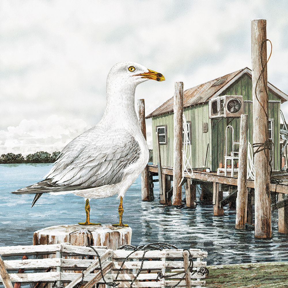 Majestic Seagull art print by James Harris for $57.95 CAD