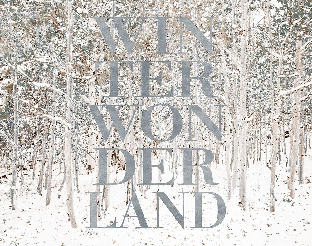 Winter Wonderland art print by Shelley Lake for $57.95 CAD