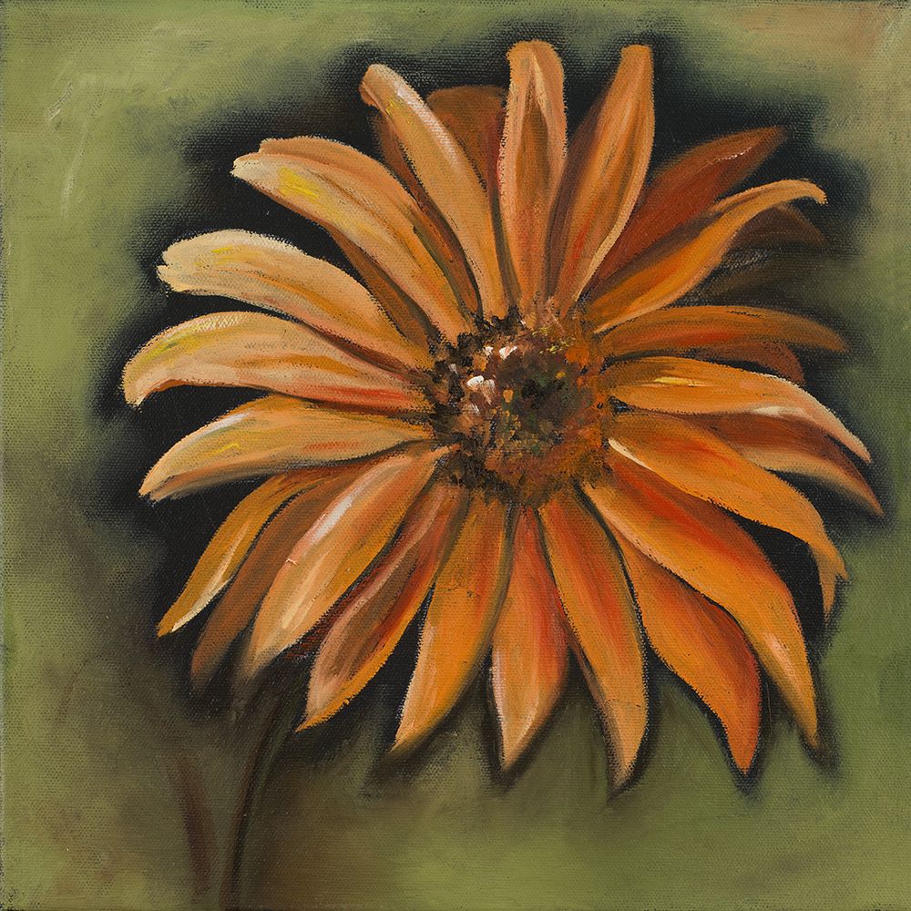 Daisy Collections III art print by Nelly Arenas for $57.95 CAD