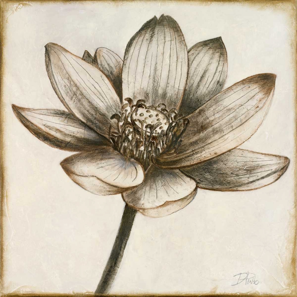 Sepia Lotus II art print by Patricia Pinto for $63.95 CAD