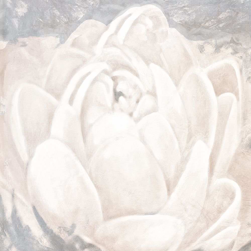 White Grey Flower II art print by Patricia Pinto for $57.95 CAD