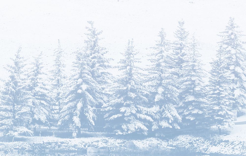 Winter Forest art print by Kathy Mansfield for $57.95 CAD