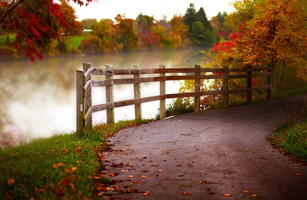 Misty Lake Path art print by Kelly Poynter for $57.95 CAD