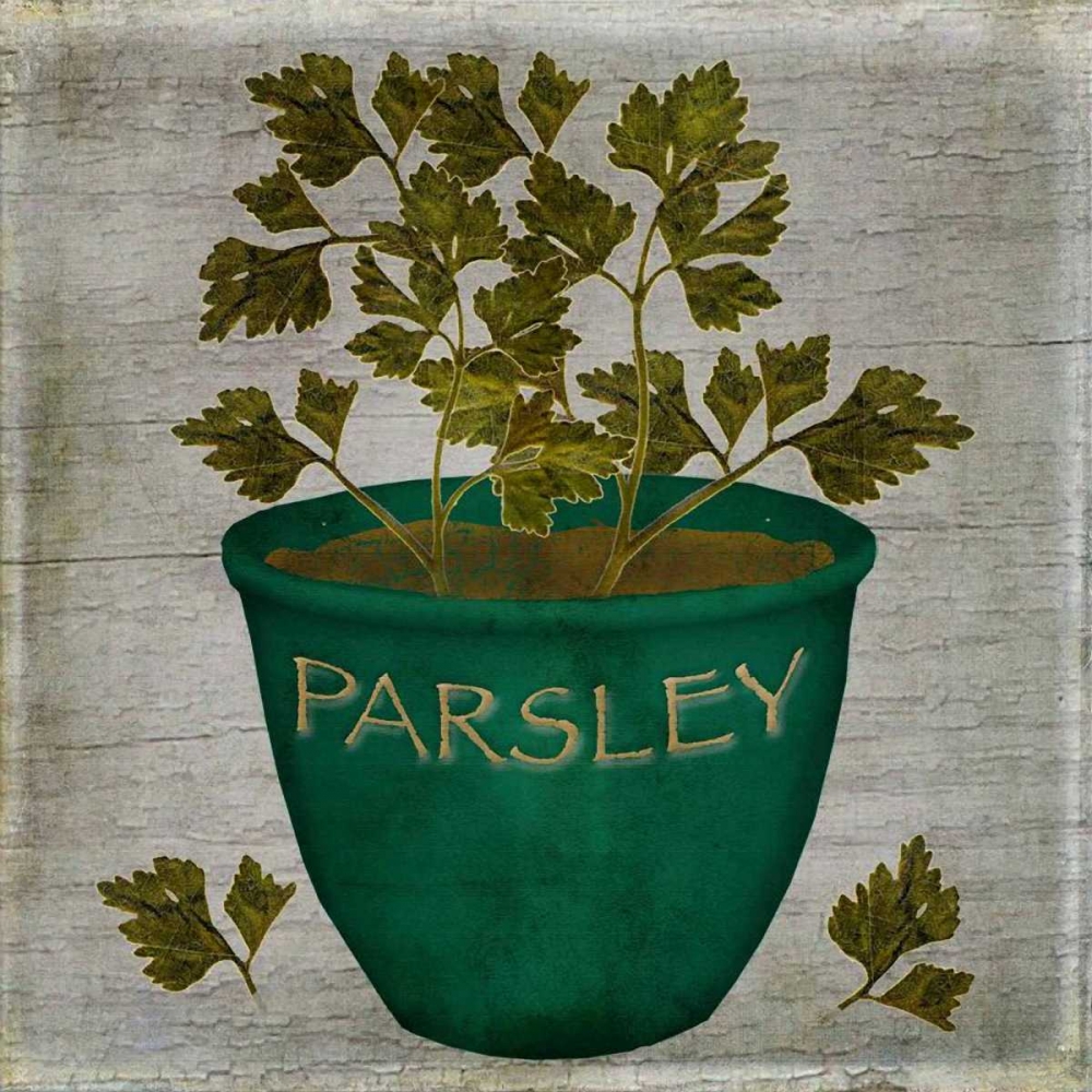 Herb Parsley art print by Beth Albert for $57.95 CAD
