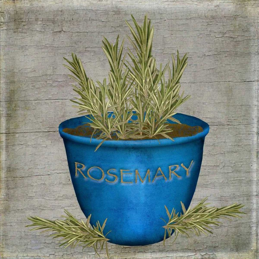 Herb Rosemary art print by Beth Albert for $57.95 CAD