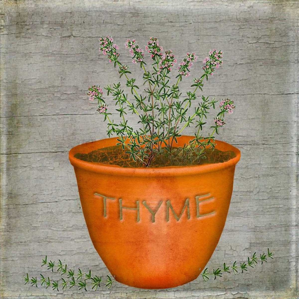 Herb Thyme art print by Beth Albert for $57.95 CAD