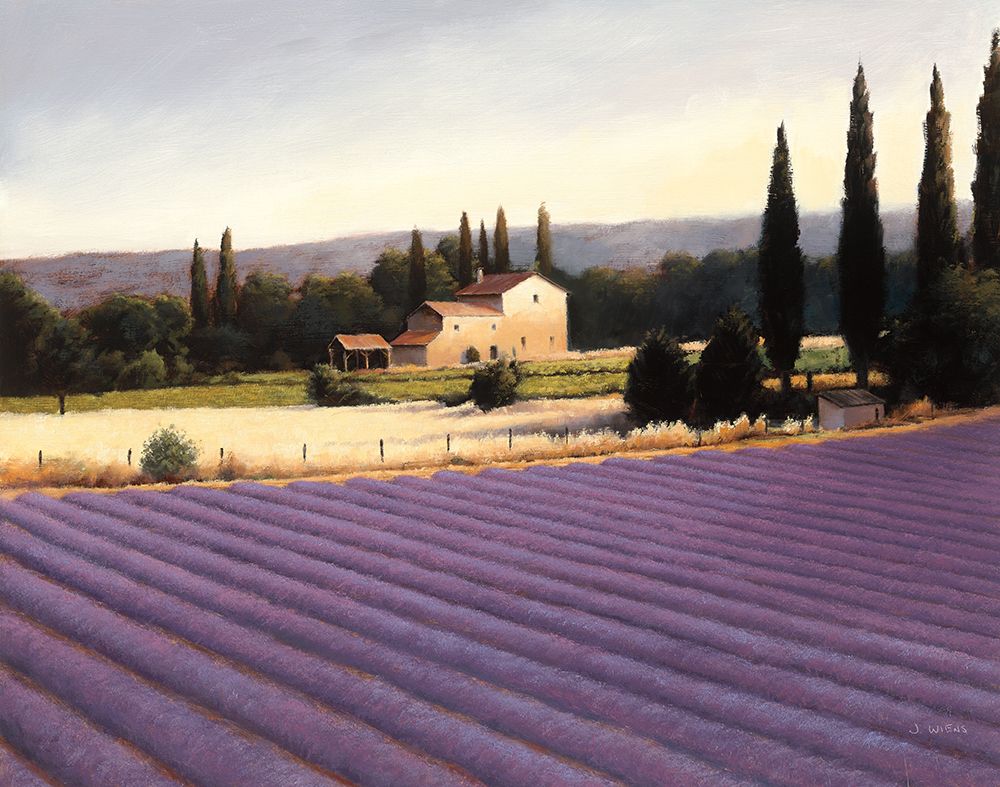 Lavender Fields II art print by James Wiens for $57.95 CAD