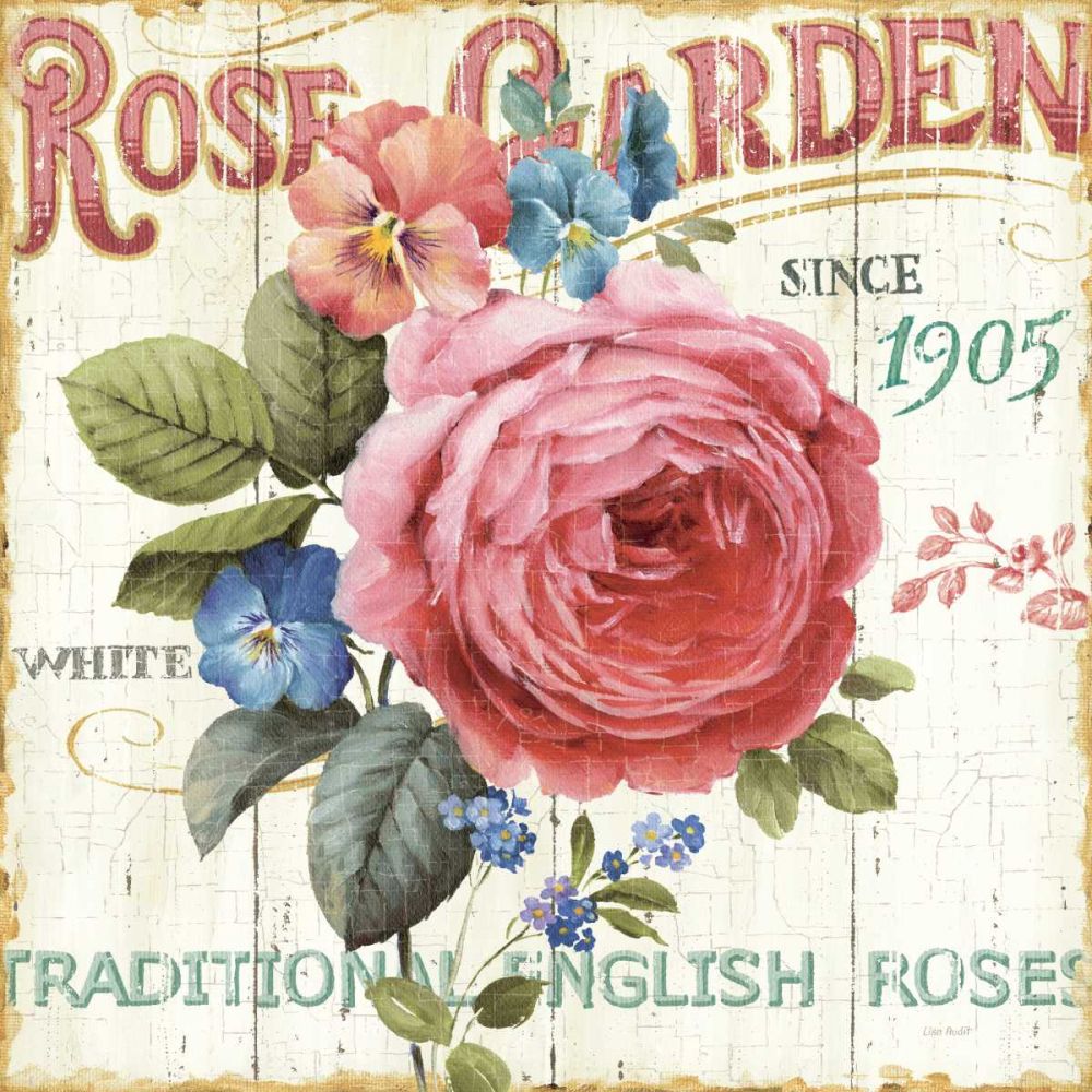 Rose Garden I art print by Lisa Audit for $57.95 CAD