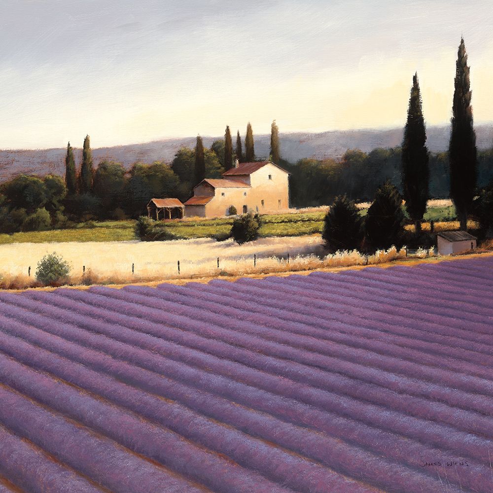 Lavender Fields II Crop art print by James Wiens for $57.95 CAD