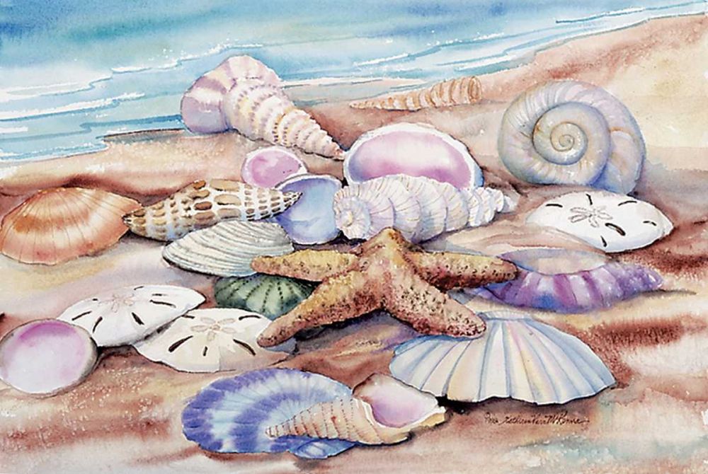 Seashells I art print by Kathleen Parr McKenna for $57.95 CAD