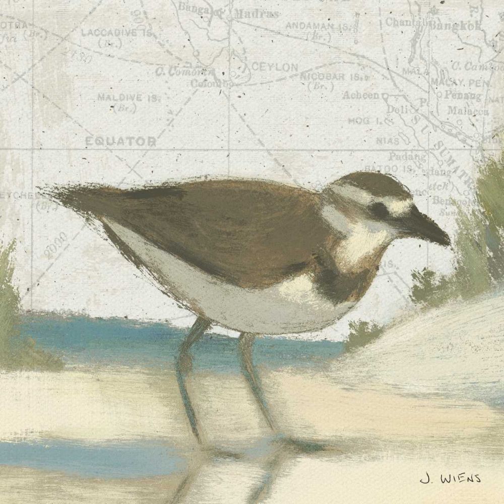 Beach Bird III art print by James Wiens for $57.95 CAD