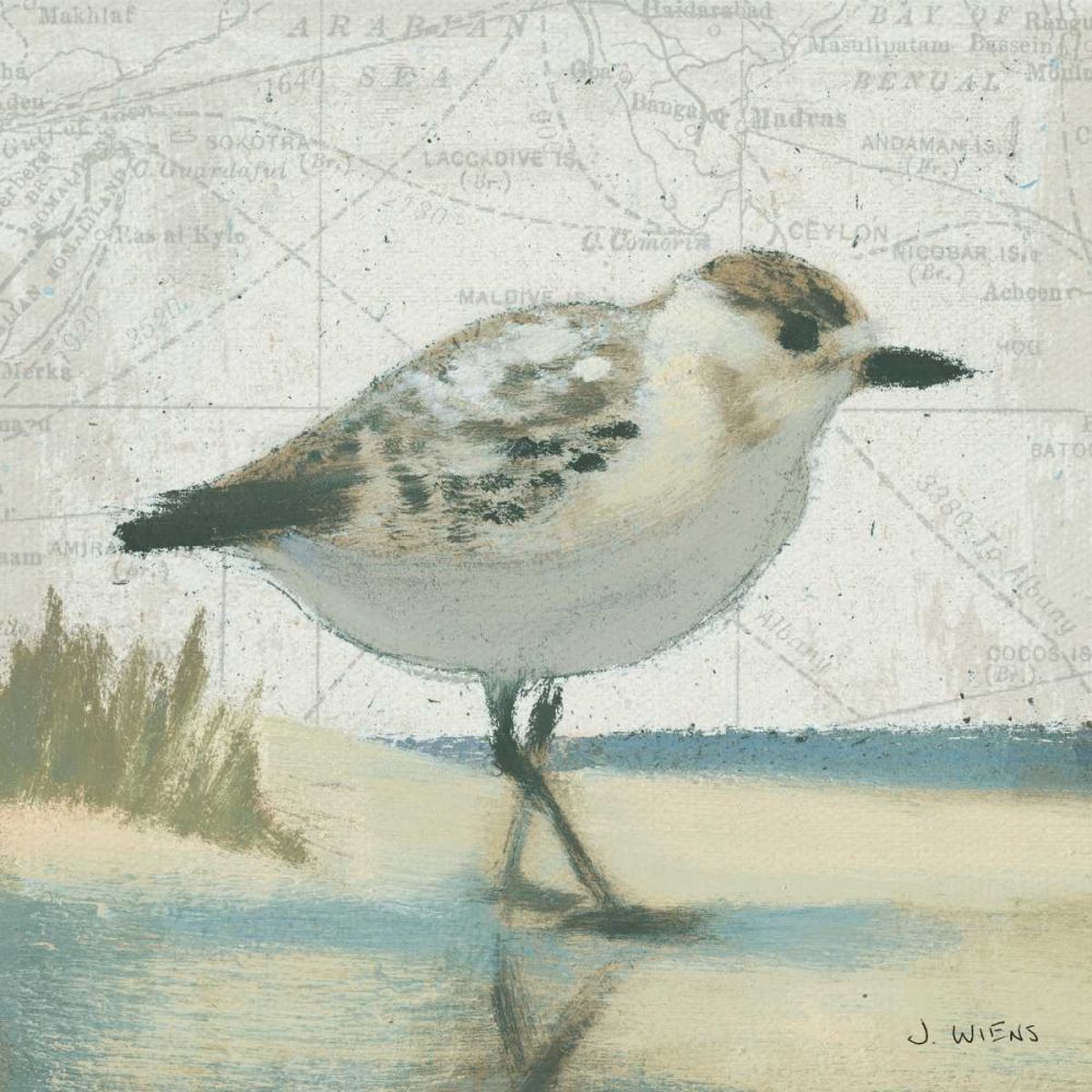 Beach Bird I art print by James Wiens for $57.95 CAD