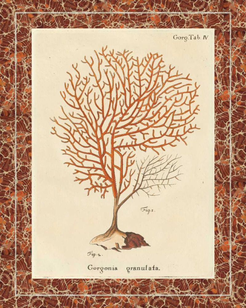 Gorgonia Granulata Marble art print by Wild Apple Portfolio for $57.95 CAD