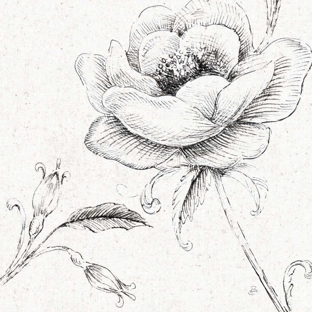 Blossom Sketches II art print by Daphne Brissonnet for $57.95 CAD