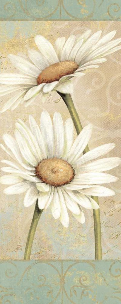 Beautiful Daisies II art print by Daphne Brissonnet for $57.95 CAD
