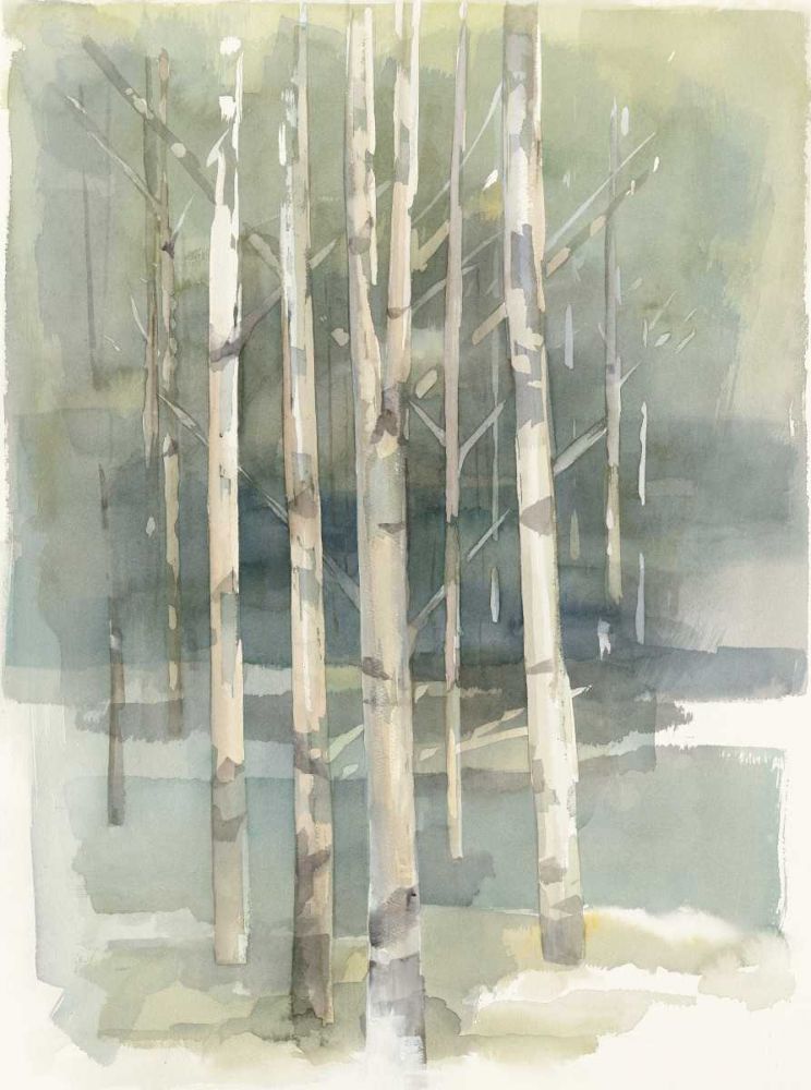 Birch Grove I art print by Avery Tillmon for $57.95 CAD