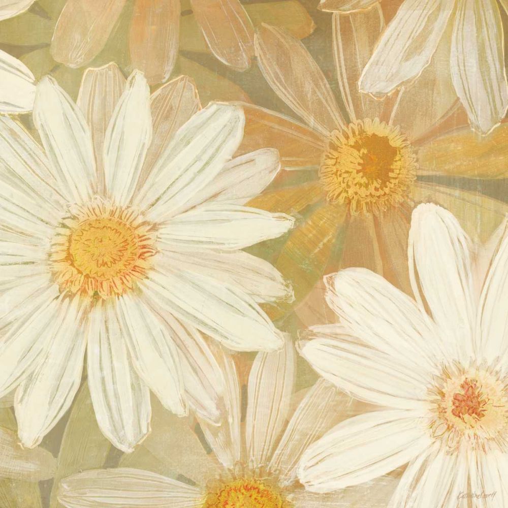 Daisy Story Square II art print by Kathrine Lovell for $57.95 CAD