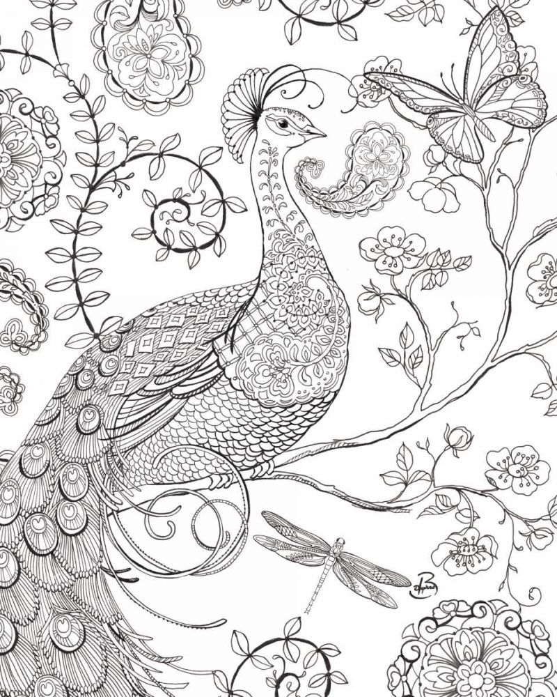 Color My World Ornate Peacock I crop art print by Daphne Brissonnet for $57.95 CAD
