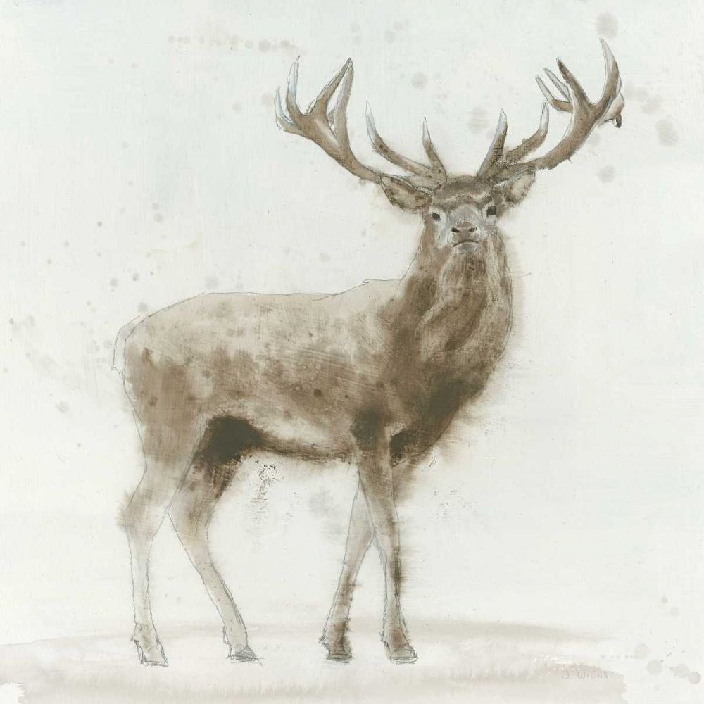 Stag v.2  art print by James Wiens for $57.95 CAD
