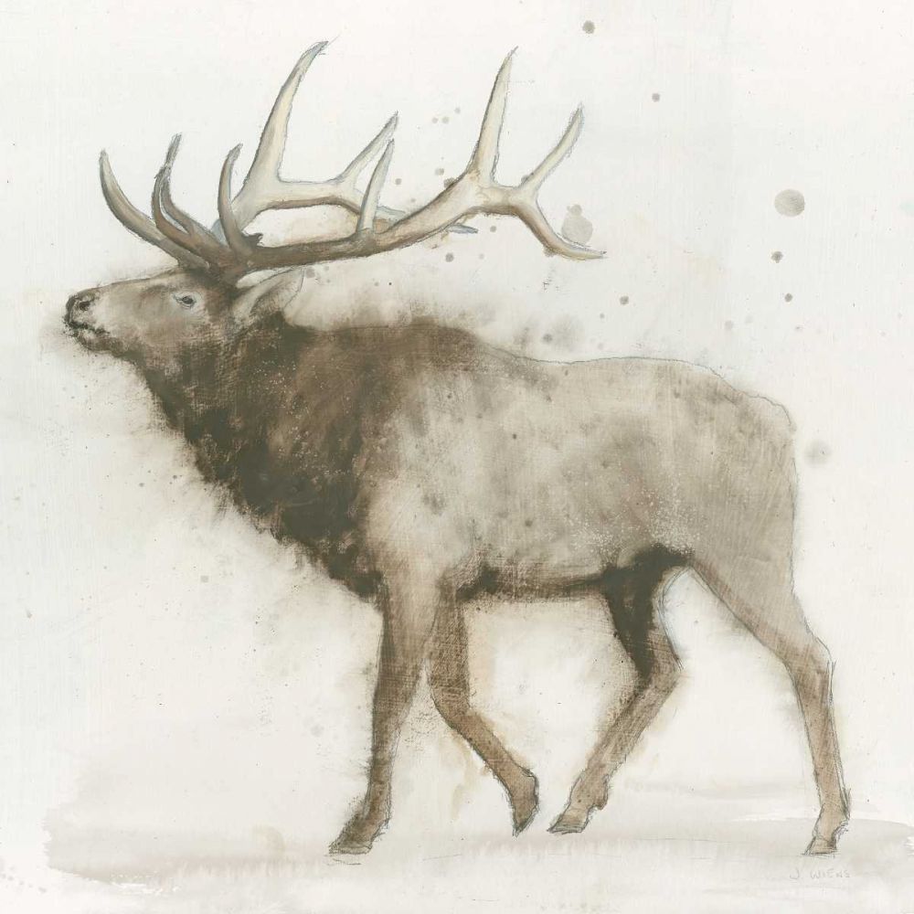 Elk v.2  art print by James Wiens for $57.95 CAD