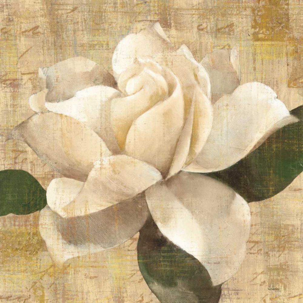 Gardenia Blossom on Script art print by Albena Hristova for $57.95 CAD