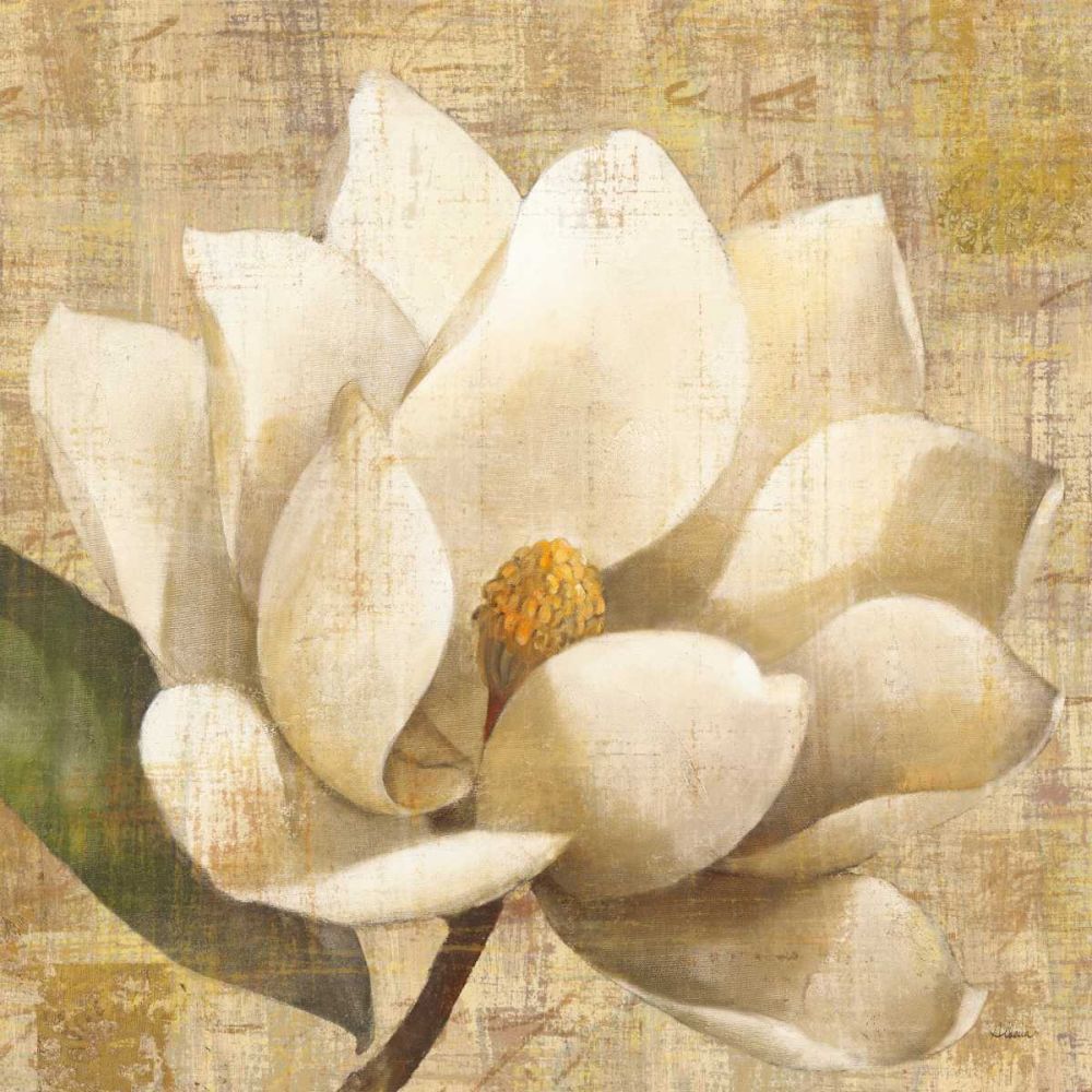 Magnolia Blossom on Script art print by Albena Hristova for $57.95 CAD