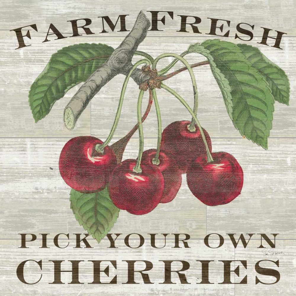 Farm Fresh Cherries art print by Sue Schlabach for $57.95 CAD