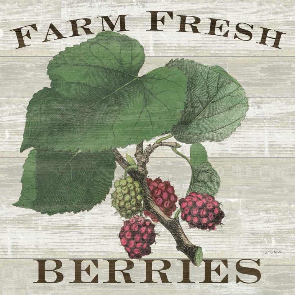 Farm Fresh Raspberries art print by Sue Schlabach for $57.95 CAD