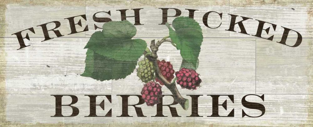 Farm Fresh Raspberries art print by Sue Schlabach for $57.95 CAD