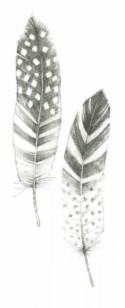 Feather Sketches VIII art print by Avery Tillmon for $57.95 CAD