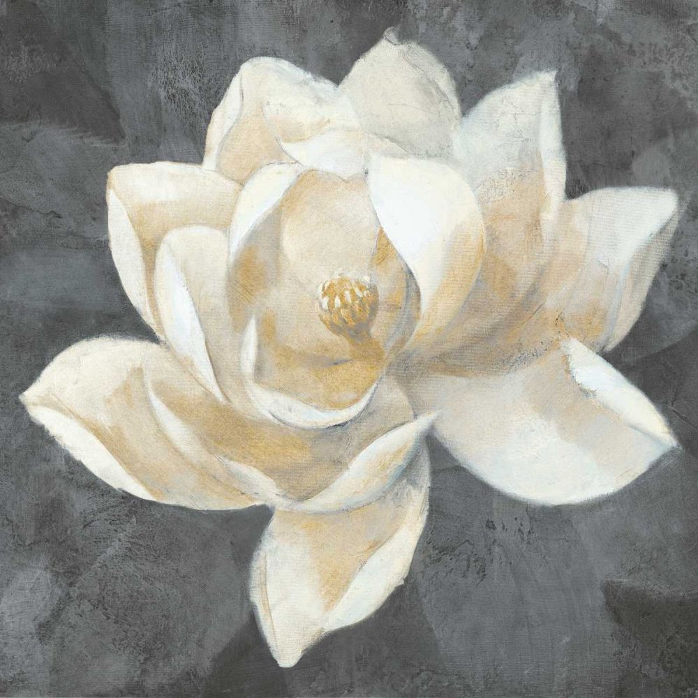 Majestic Magnolia Neutral Sq art print by Albena Hristova for $57.95 CAD