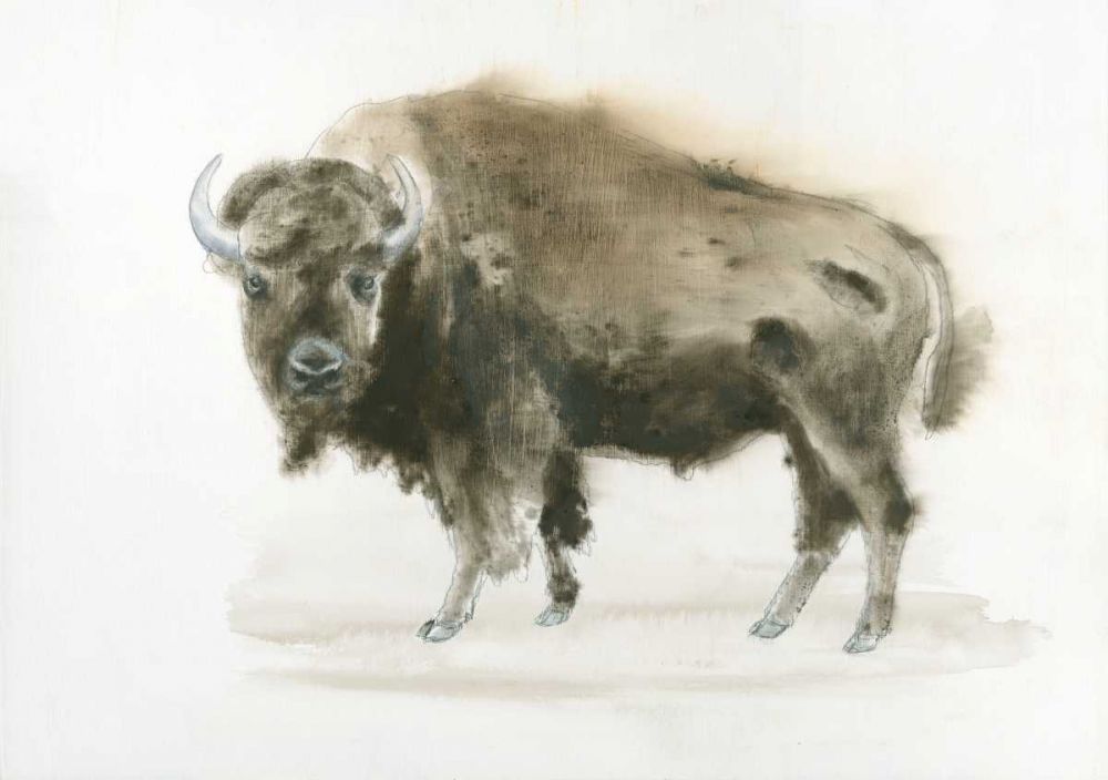 Buffalo Bill art print by James Wiens for $57.95 CAD