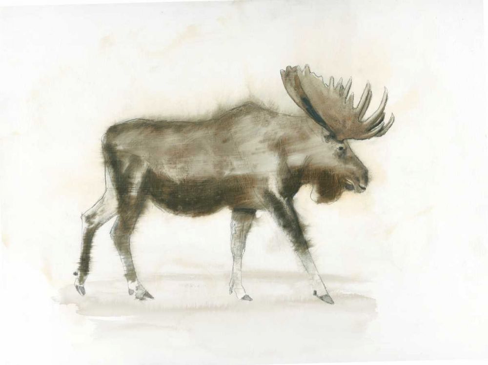 Dark Moose art print by James Wiens for $57.95 CAD