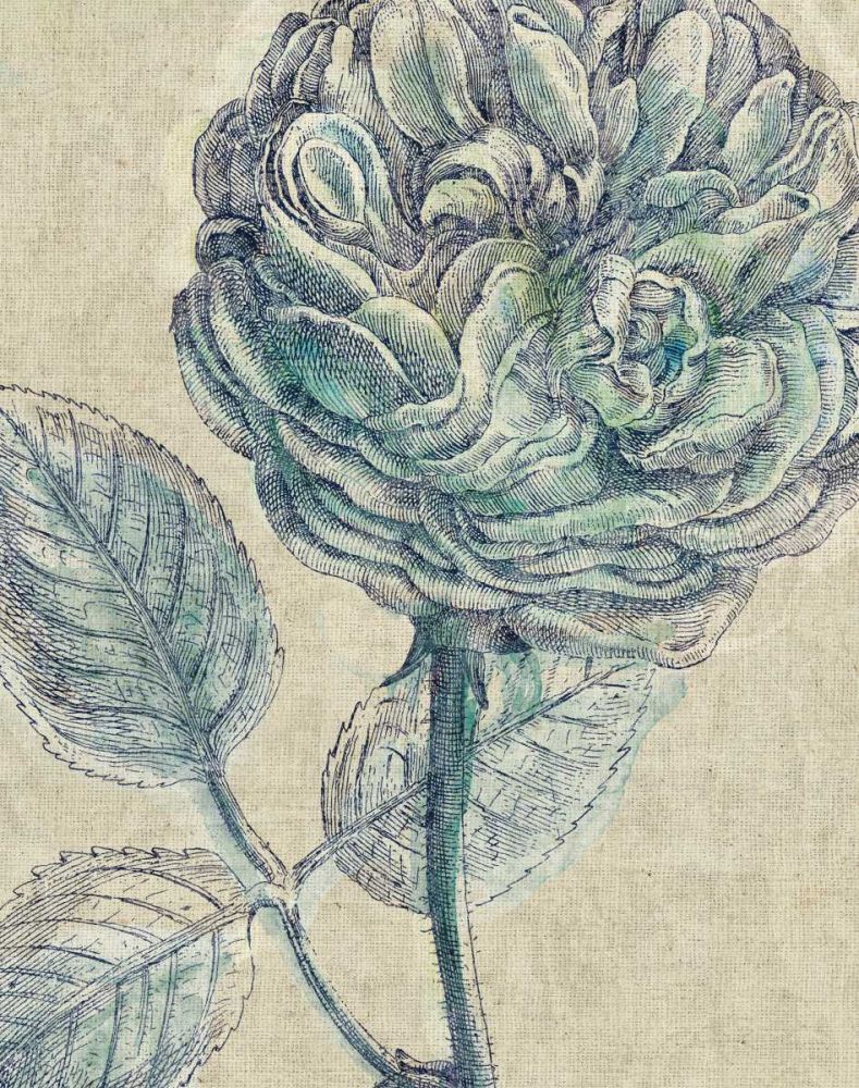 Belle Fleur III Crop Linen art print by Sue Schlabach for $57.95 CAD