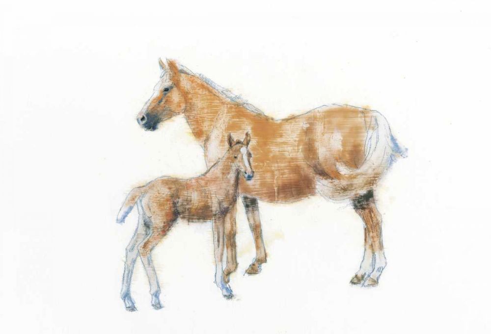 Horse and Colt art print by Emily Adams for $57.95 CAD