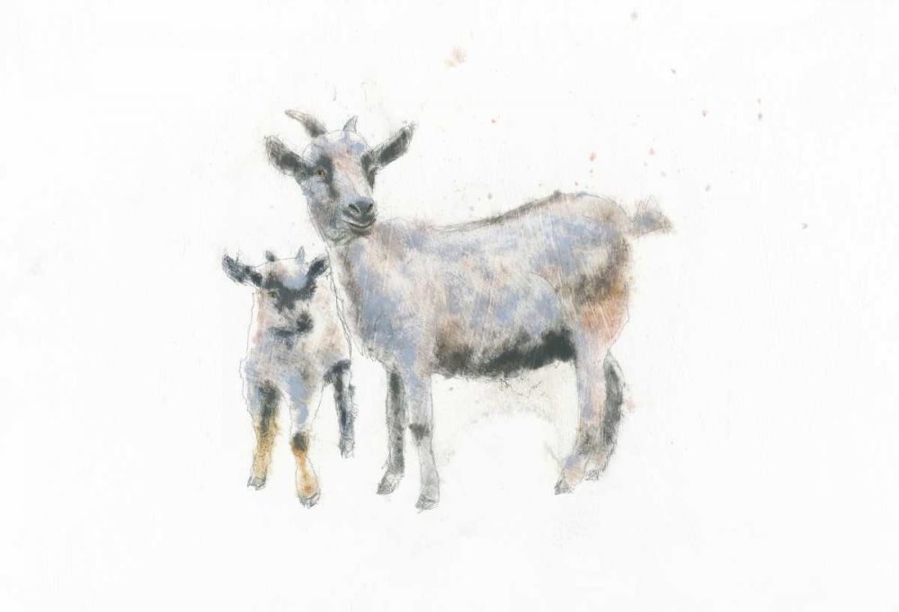 Goat and Kid art print by Emily Adams for $57.95 CAD