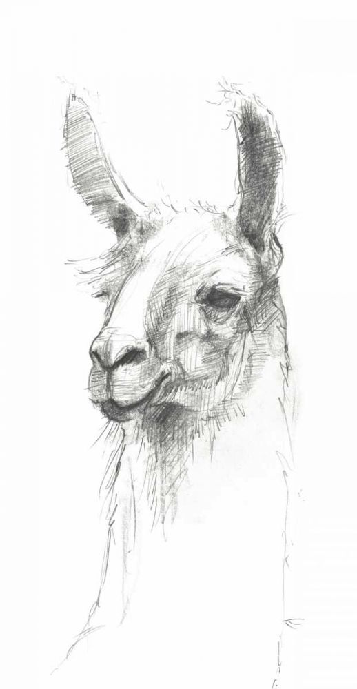 Bianca Pencil art print by Avery Tillmon for $57.95 CAD
