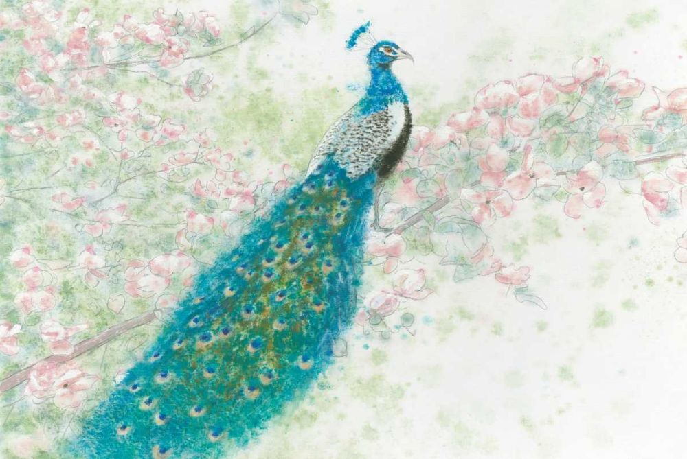 Spring Peacock I Pink Flowers art print by James Wiens for $57.95 CAD
