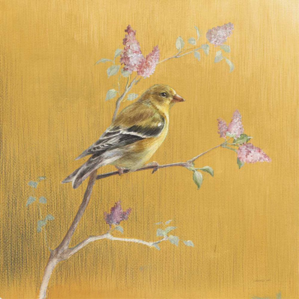 Female Goldfinch on Gold art print by Danhui Nai for $57.95 CAD